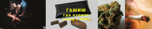 сатива Аркадак