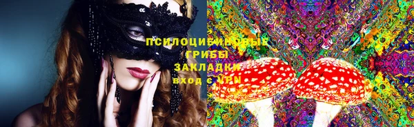 сатива Аркадак