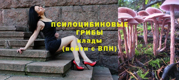 мдпв Армянск