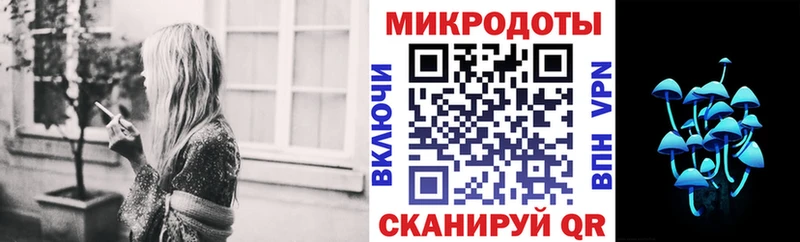 Псилоцибиновые грибы Psilocybe  нарко площадка Telegram  Камень-на-Оби  kraken сайт 